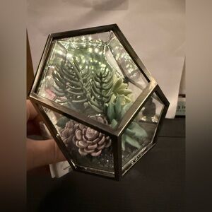 Bath & Body Works Wallflowers Fragrance Set- plug in and 2 scents, NWT